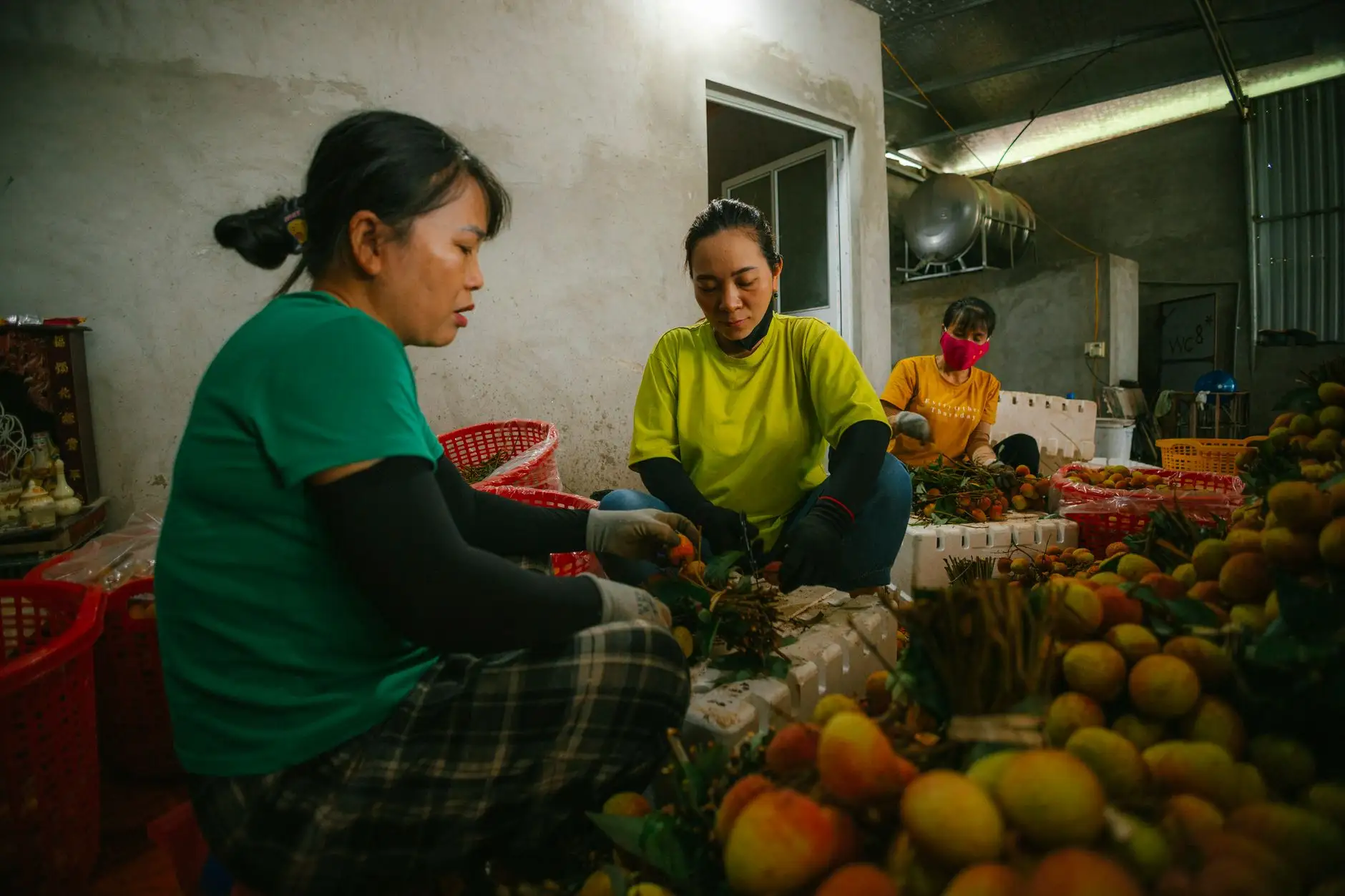 寅捌商贸日用百货产品型号参数对比分析及选购建议